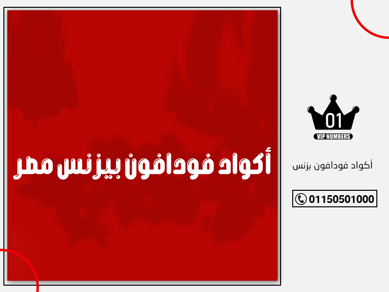 فودافون بزنس